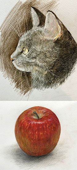 クレヨン画・色鉛筆画講座 | カルチャー講座 | 柏の一般・こども向け  